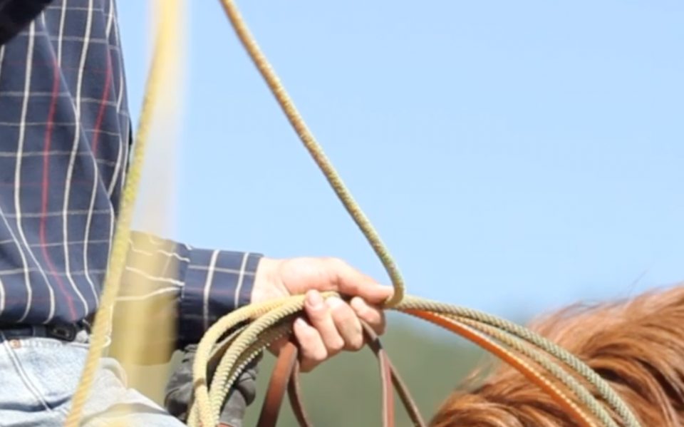 roping
