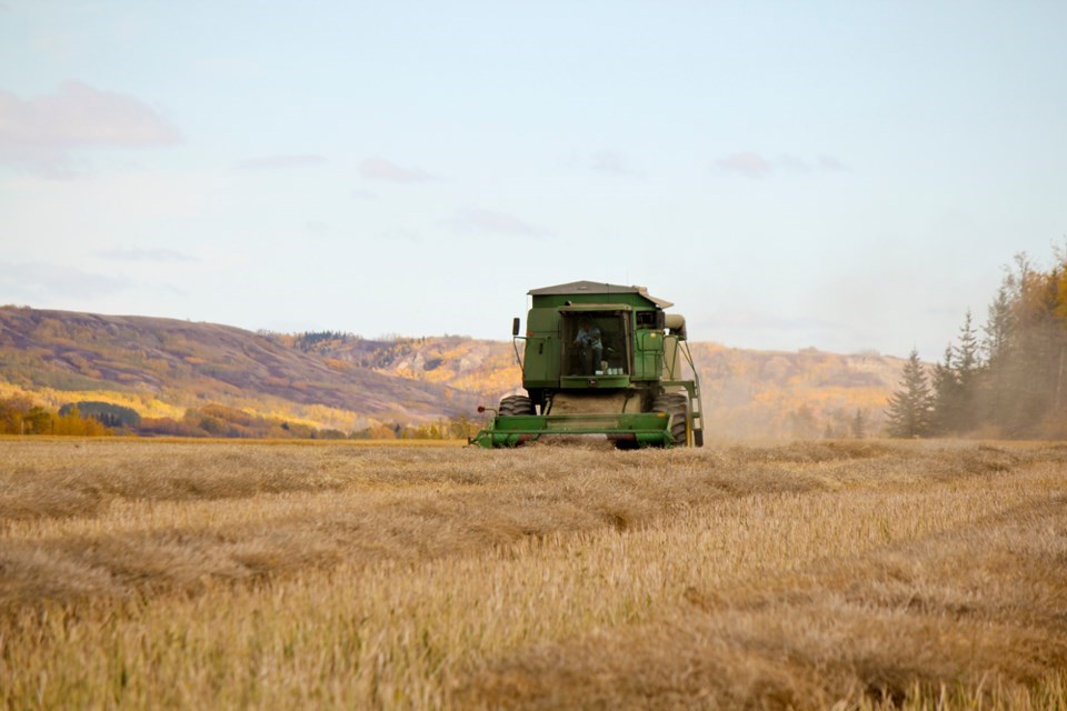 harvest-taylor