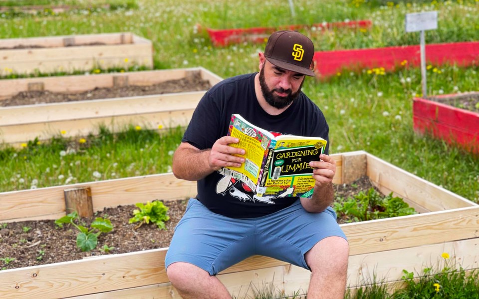 Dillon-Gardening for dummies