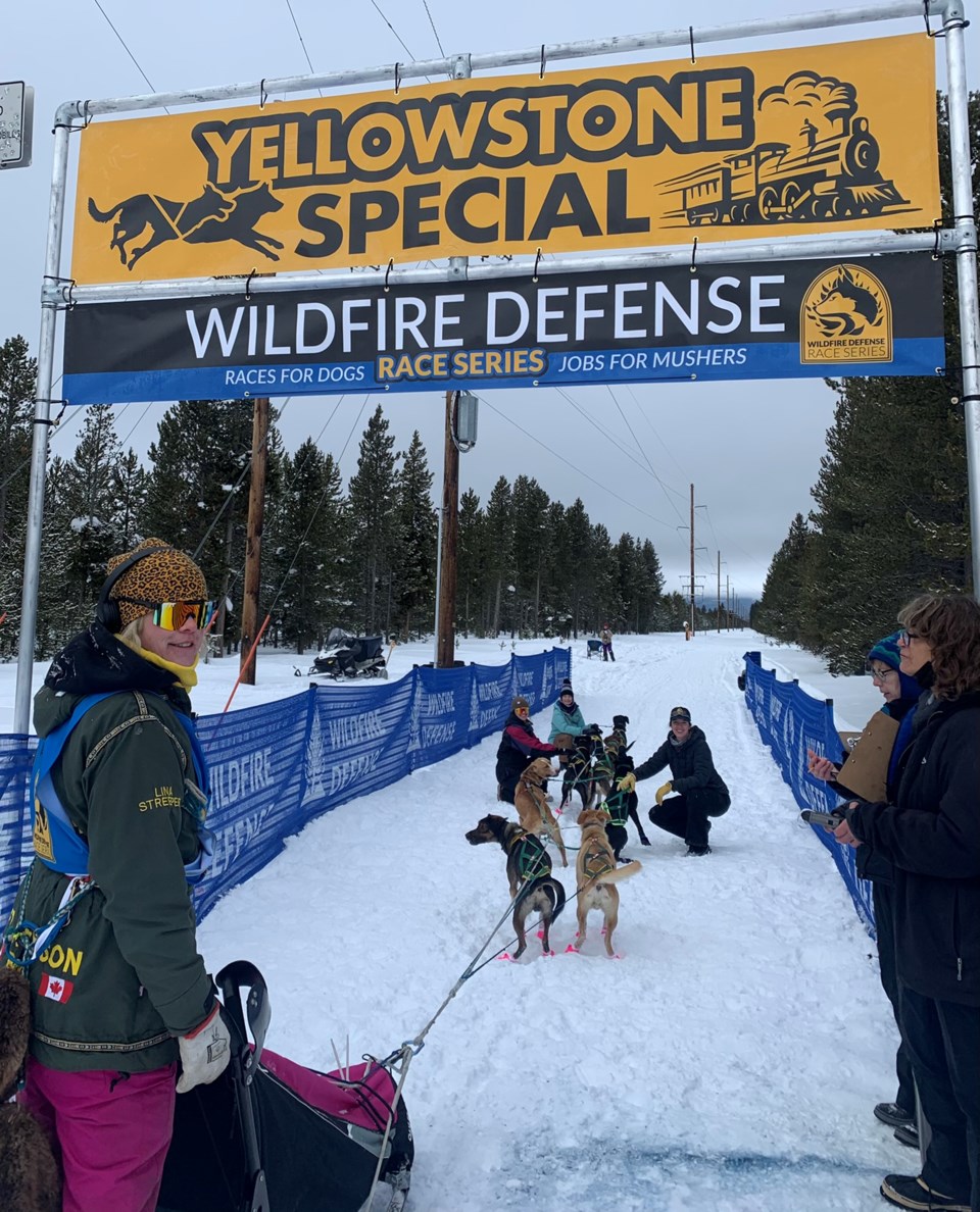 linastreeper-yellowstonespecial