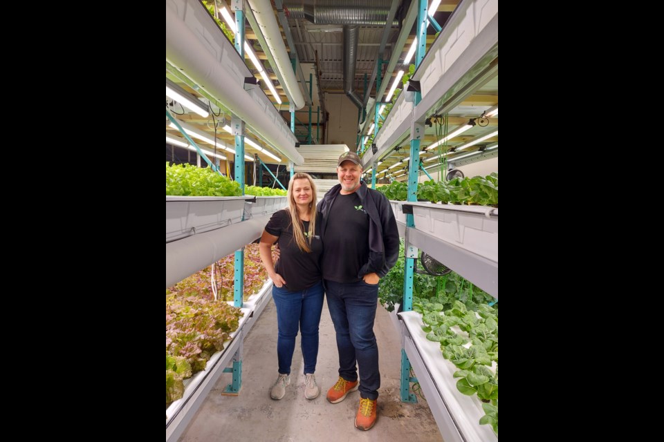 Mike and Becky Newhook, own the south Edmonton hydroponics business, Vertical Roots. Photos: Ashley Geddes