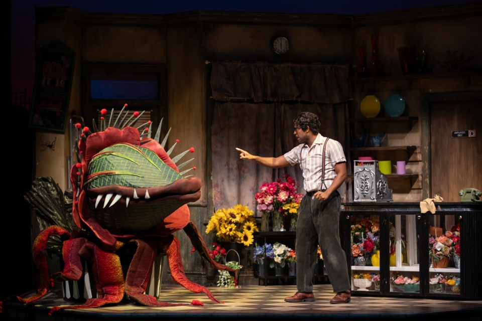 The seemingly meek Audrey II and Seymour (Tenaj Williams) in Little Shop of Horrors. Photo Nanc Price for The Citadel Theatre.