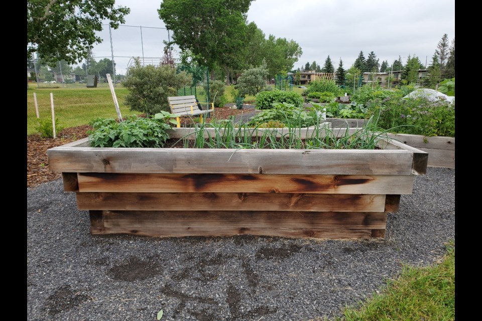 Gardening fans in Calgary donated wood and other materials to create some 20 raised beds for a community garden. Photos submitted by Calgary Horticultural Society.