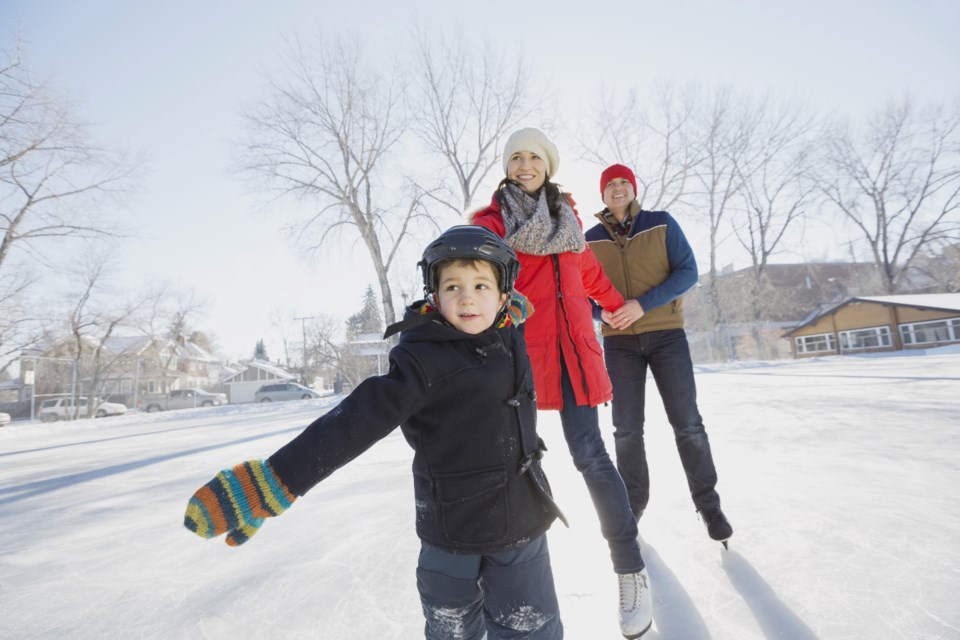 familyiceskatinghc1612_source