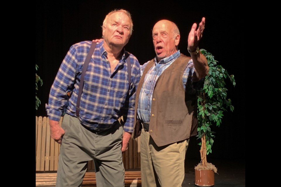 Andre Roy (left) and Gilles Denis in Everything is Beautiful, a play about aging, staying relevant and keeping connected to those you love. Photo supplied.
