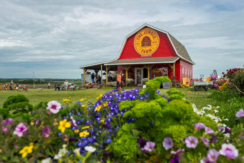 Jungle Farm opened to the public in 1997. Supplied photo