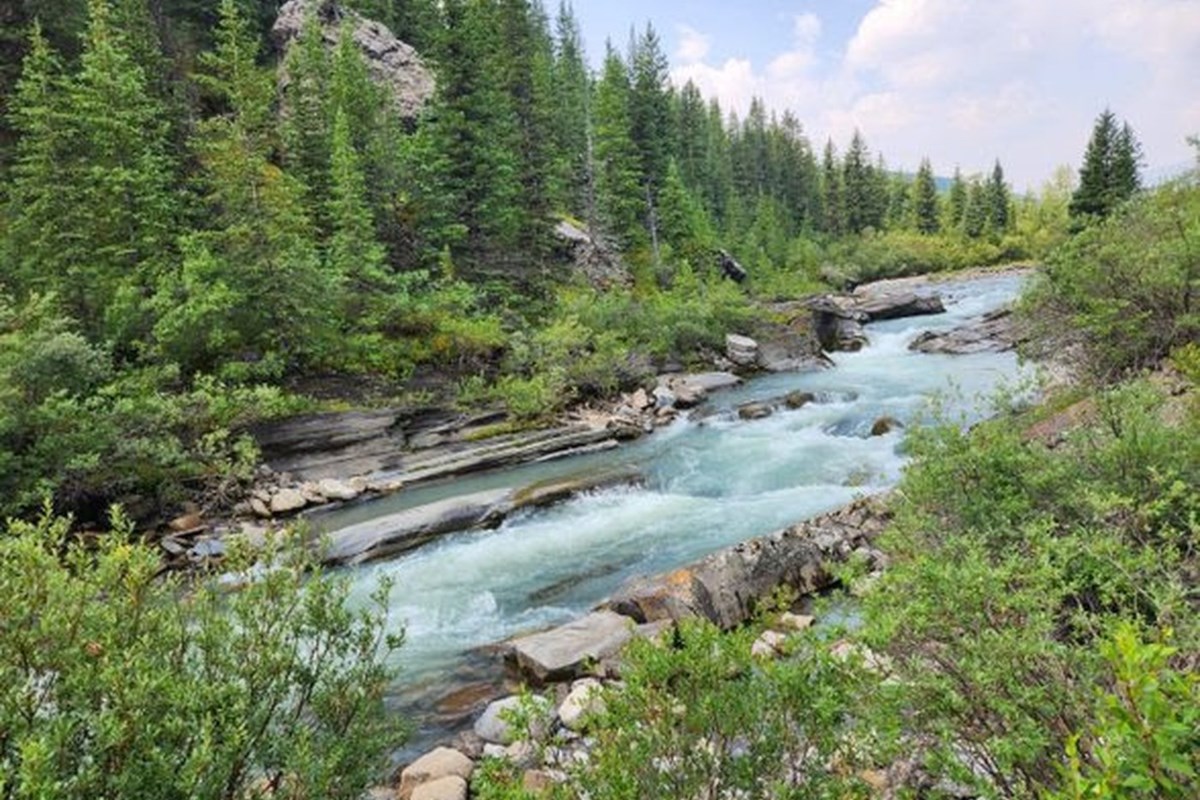 Ministry mandates you should not aid the environment, say conservation teams Ministry mandates you should not aid the environment, say conservation teams