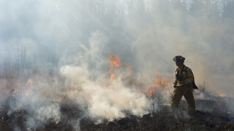 file-photo-alberta-wildfire-facebook