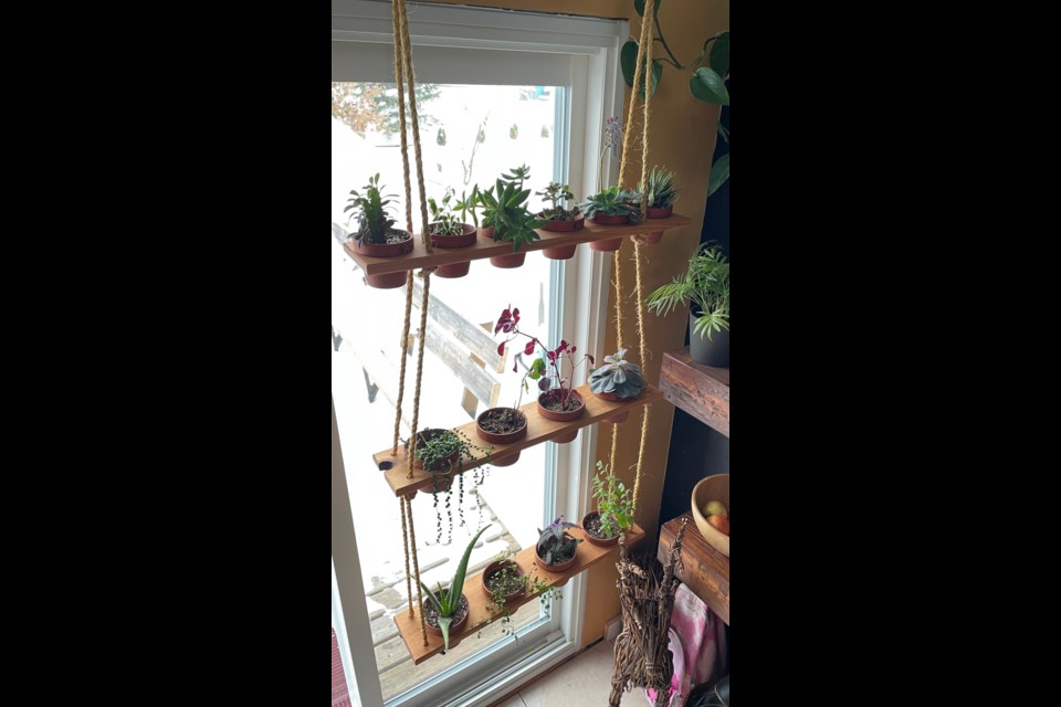 The hanging garden in the kitchen of Chelsea Smith's Sherwood Park home produces succulents in the winter and herbs in the summer. Photo submitted 