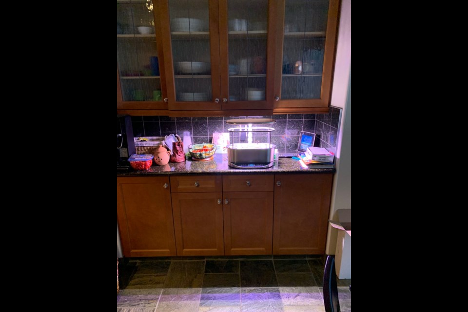 Craig Martin has a nine-pod herb garden on the kitchen counter of his Strathcona County home. Photo submitted