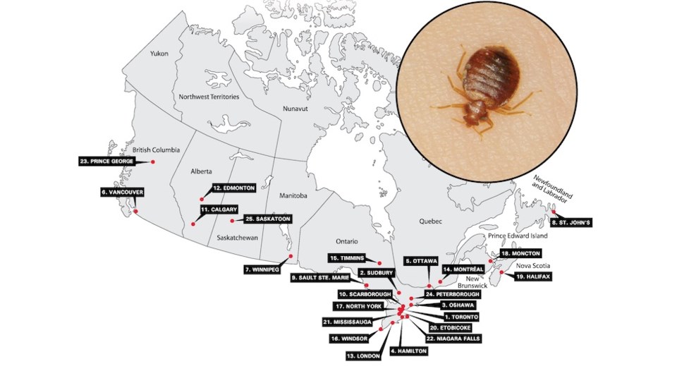 orkin-canada-bed-bug-canada-cities-2023eng