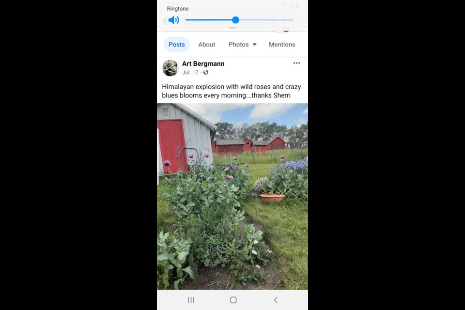 Bergmann's public posts of grief, such as noting the wild roses his wife planted on their farm, elicited much response from the online community. Photo supplied.