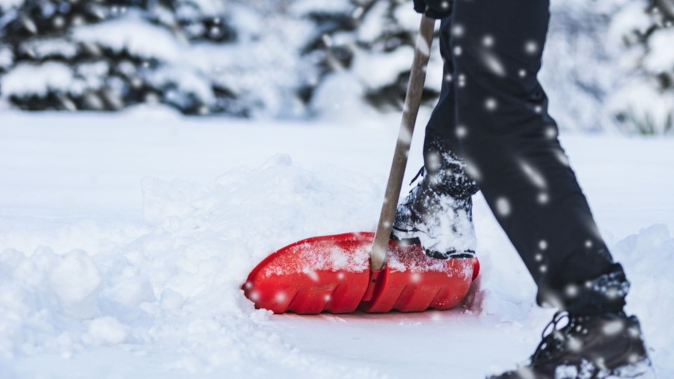 snowshove