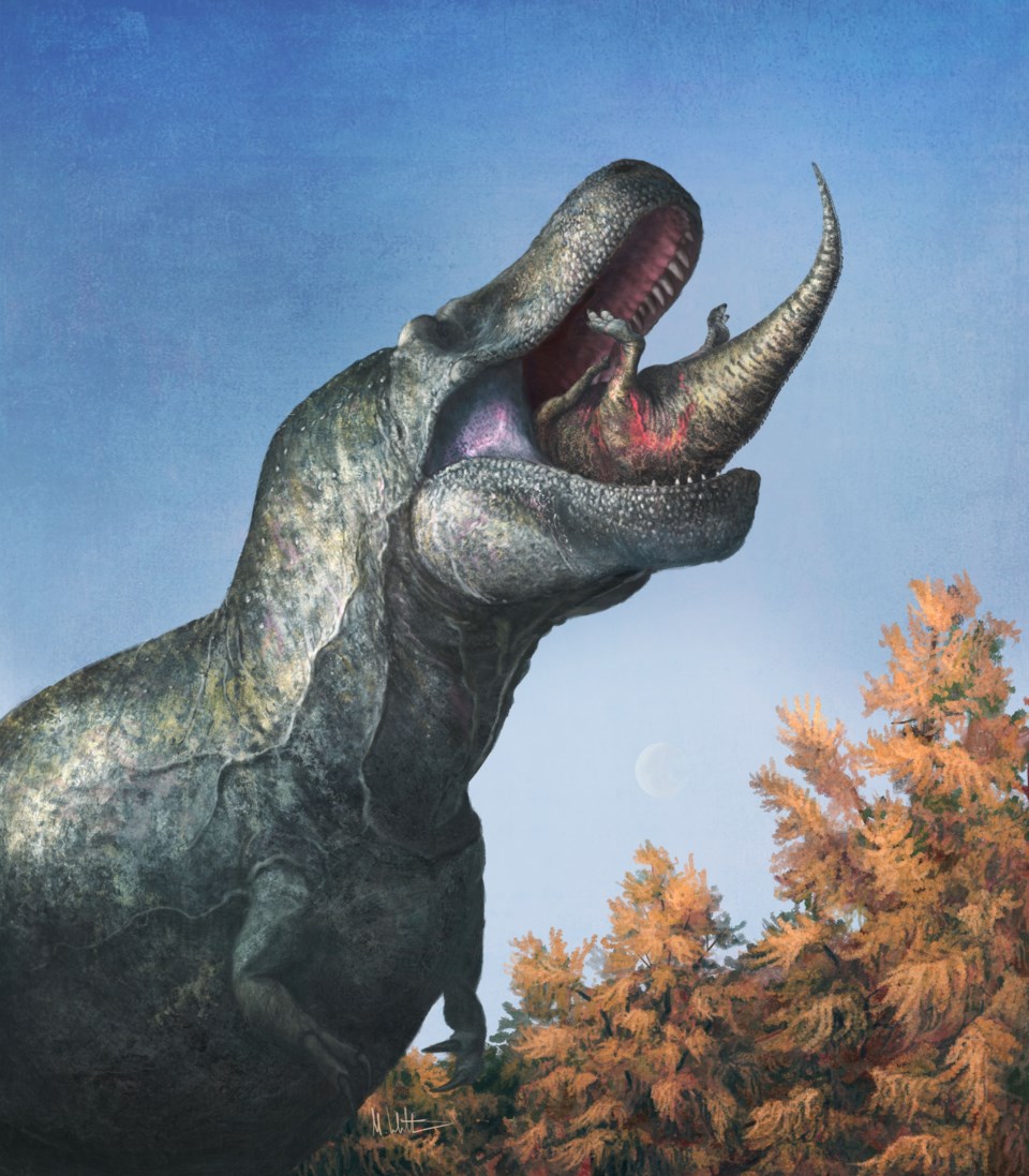 tyrannolips-pr-image-witton-2023