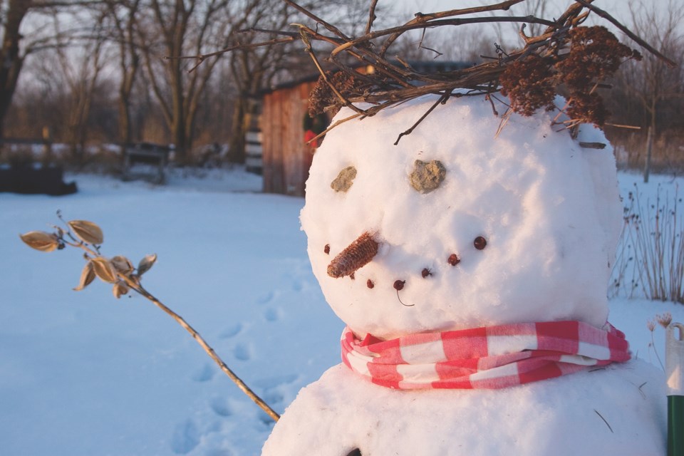 winter