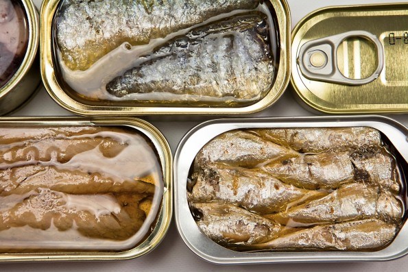 Lagos farmers will produce canned fish in 2022 - AlimoshoToday.com
