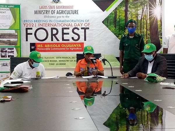 Lagos to audit forest estates