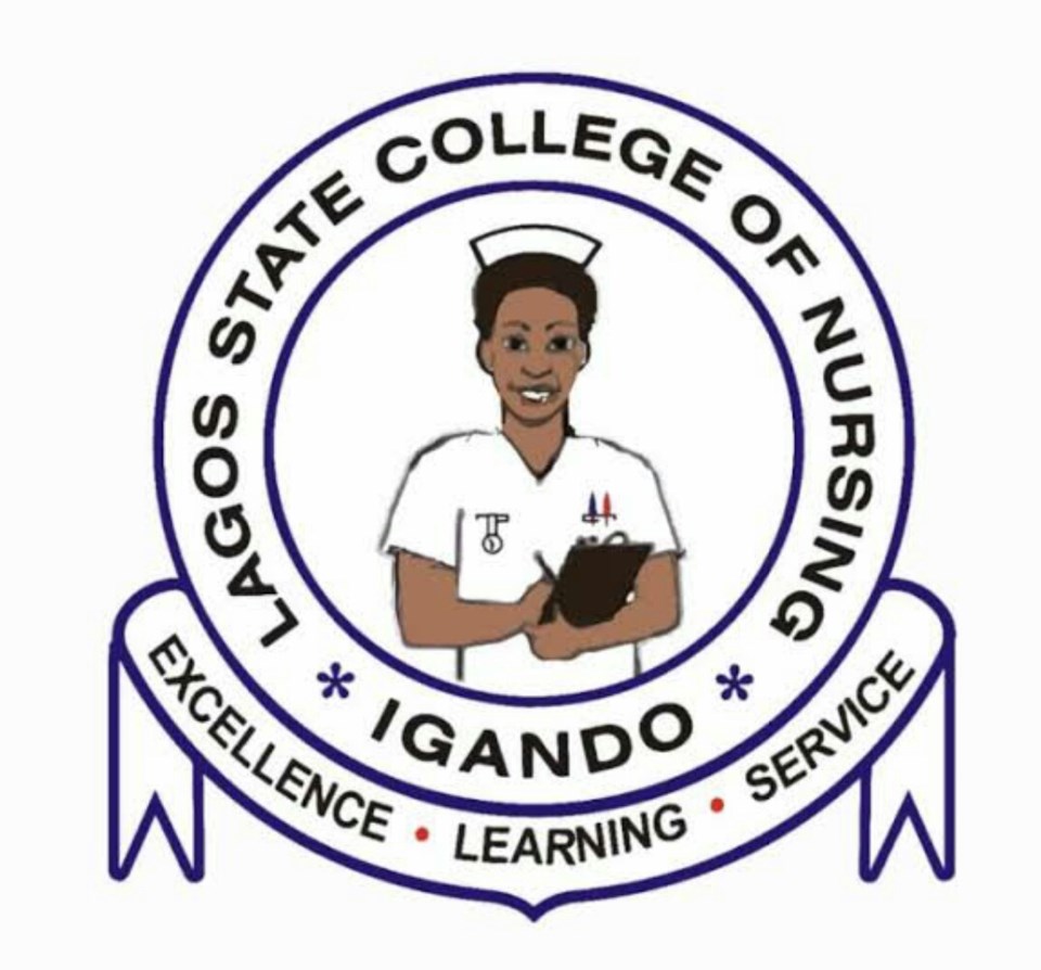 Lagos State School Of Nursing, University Past Questions and Answers- PDF Download