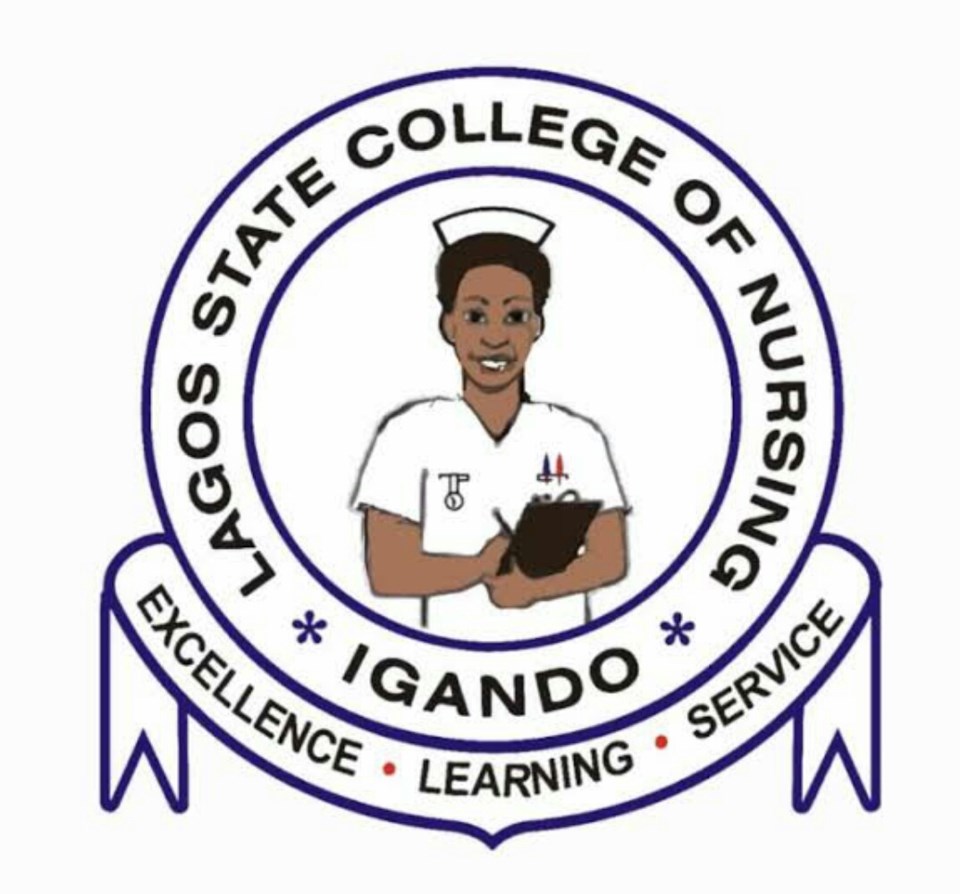 Lagos State School Of Nursing, University Past Questions And Answers