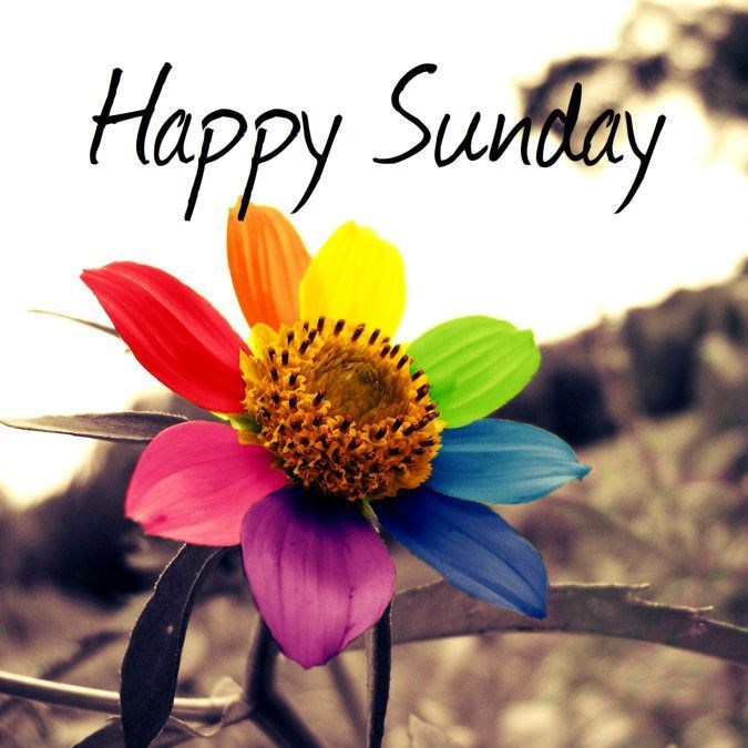 10 facts about Sunday you didn't know - AlimoshoToday.com