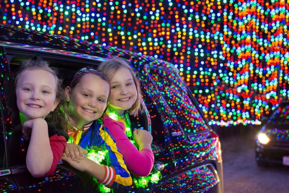 More than 16 kilometres of brightly coloured lights will wind their way through Springwater Provincial Park as part of a special drive-through holiday lights experience called the Magic of Lights.