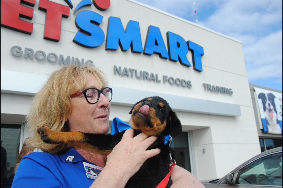 PetSmart's Barrie North store manager Deb Farrelly welcomes 10-week-old Anika. Ken Brown, Anika's pet parent, was one of the first to join in the grand opening celebration Saturday.