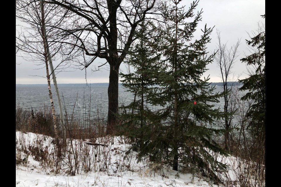 An understated Christmas tree marks Barrie's waterfront trail.