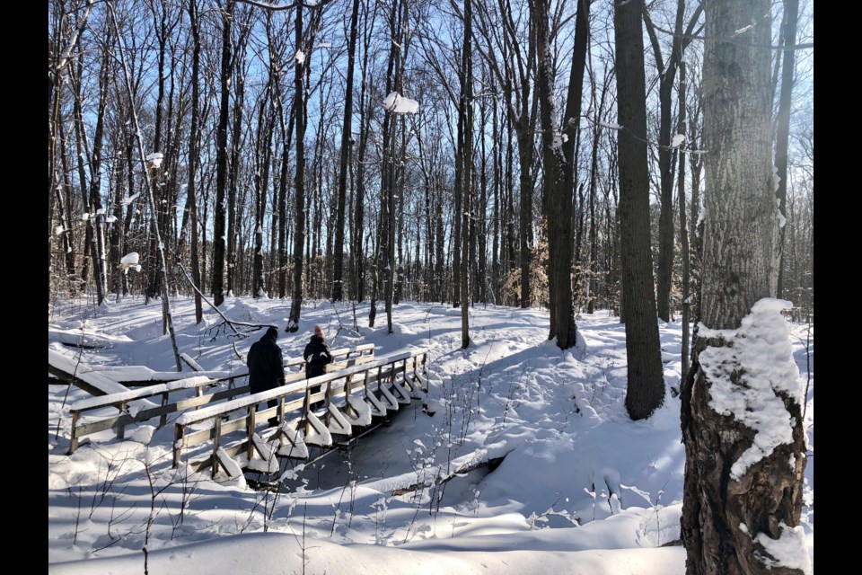 After a fresh snowfall, Grant's Woods Nature Reserve is the epitome of the Canadian experience.