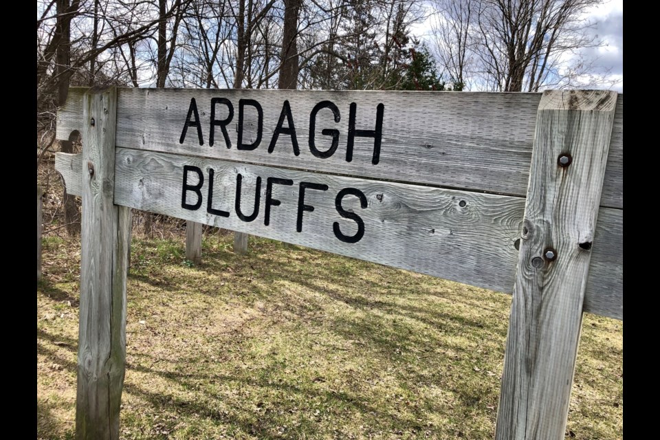 The Ardagh Bluffs in Barrie's southwest is a collection of hilly trails.