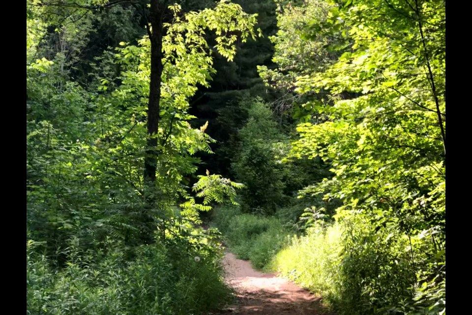 The Springwater Township portion of The Nine Mile Portage Heritage Trail extends from the shores of Kempenfelt Bay in Barrie to Fort Willow in Springwater Township.