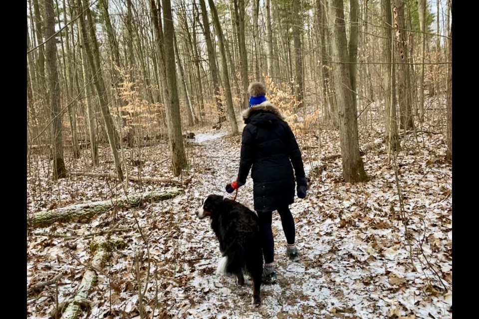 Walk this way Favourite dog walking areas in and around Barrie Barrie News