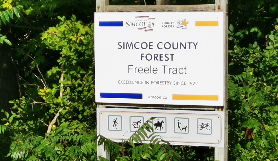 freele-tract-simcoe-forest