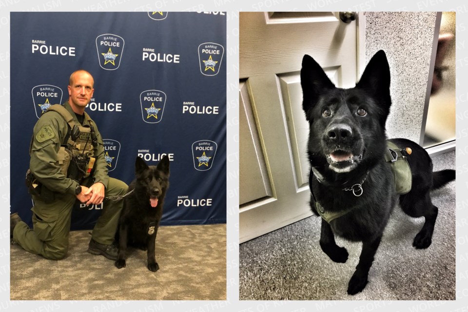 Barrie police Const. John Lamont and Thor were partners in the force's canine unit from 2011 until 2019.