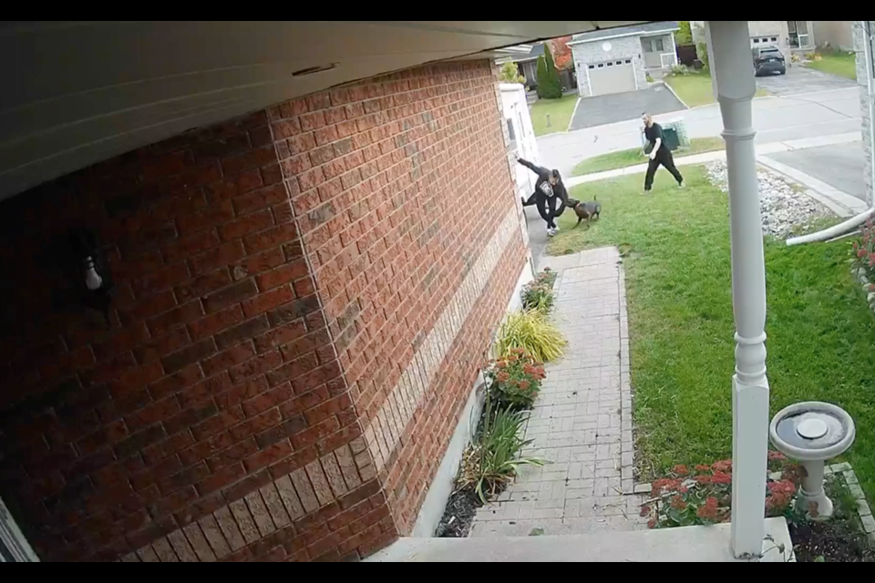Cory Fram tries to get away from a dog during an attack that occurred outside her Cunningham Drive home in Barrie on Thursday, Oct. 6. 2022, which was captured on her home security camera.