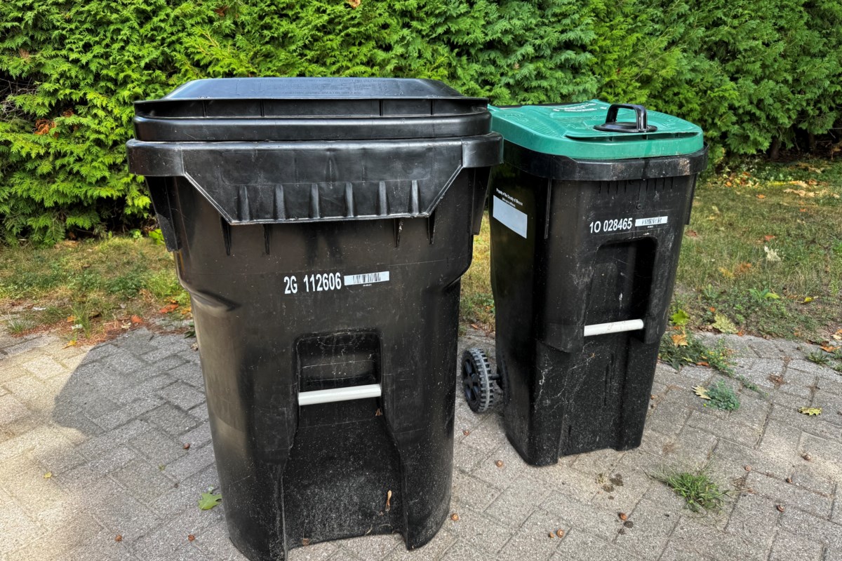 County councillors reject punitive organics collection policy