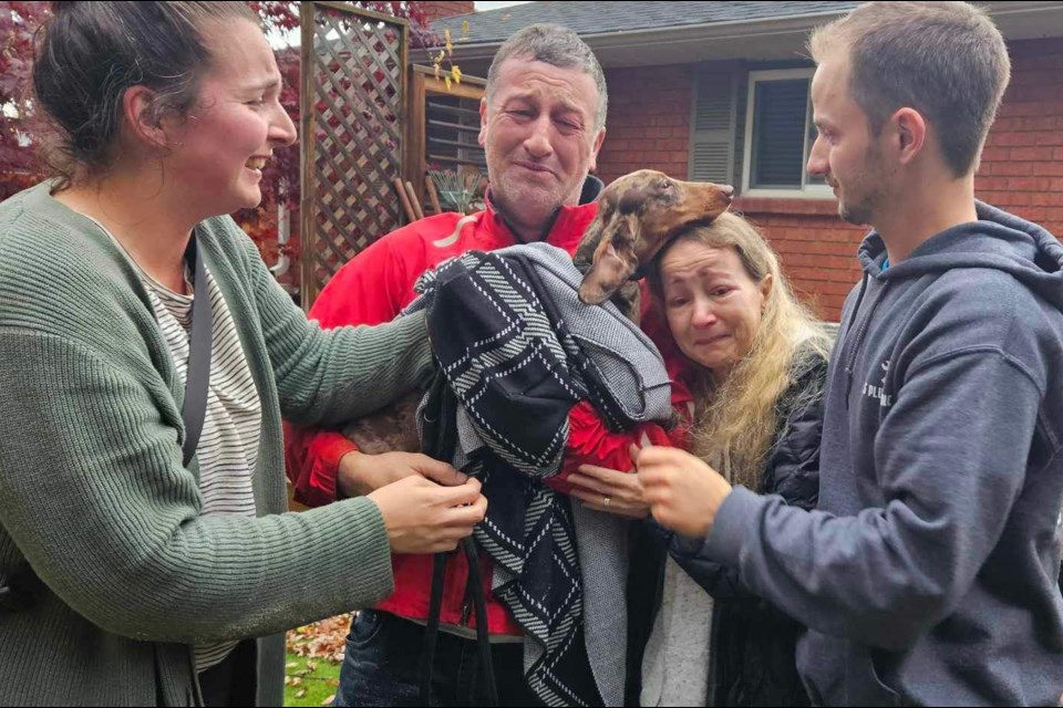 Brien and Lisa Johnston were in tears after their pup Hank, who had been missing for a week, was finally found and returned home on Oct. 26, 2023.