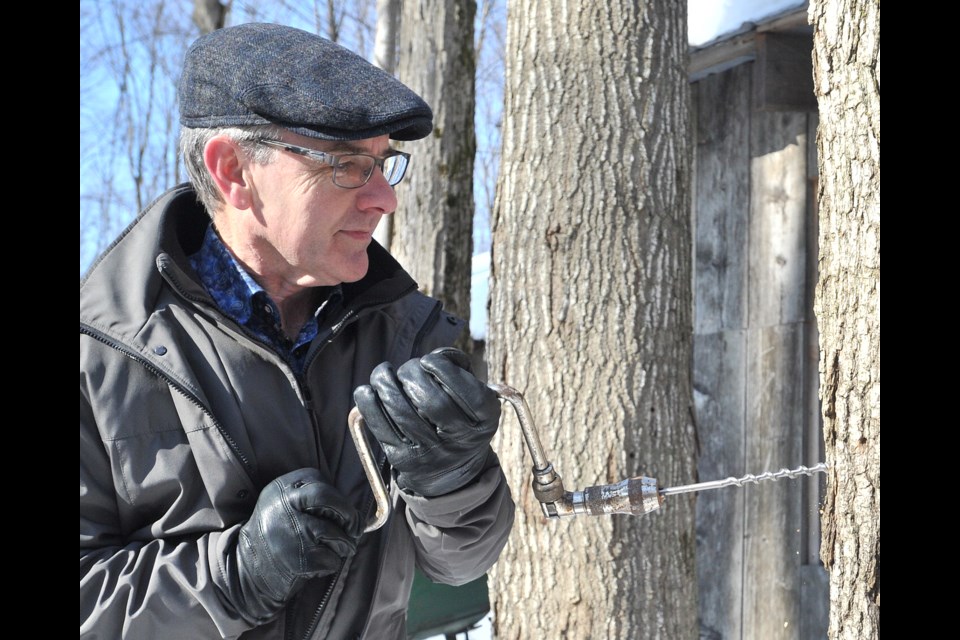 Simcoe North MP Bruce Stanton sets off the maple syrup season on Saturday, Feb. 22, 2020, at the Hutchinson family woodlot on Line 5 North in Oro-Medonte Township. Ian McInroy for BarrieToday