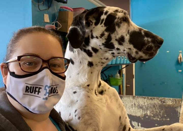 the ruff house stay and play