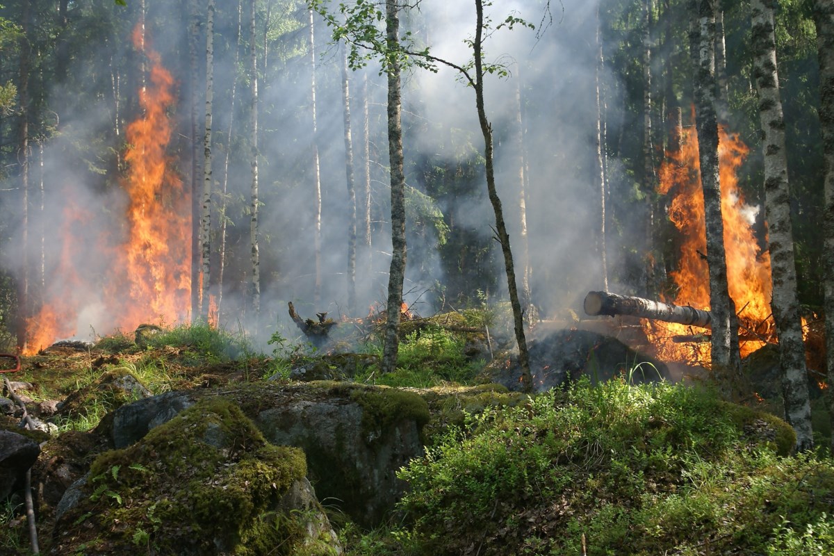 Il fumo “nocivo” degli incendi nel nord dell’Ontario influisce sulla qualità dell’aria nella contea di Simcoe