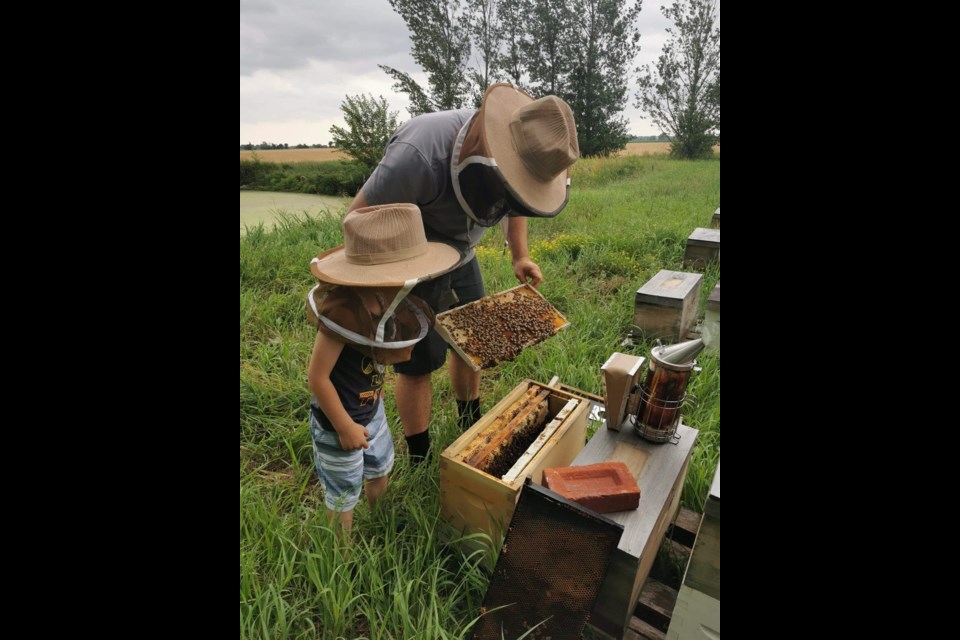 Mike Barks and his son tend to their beehive.