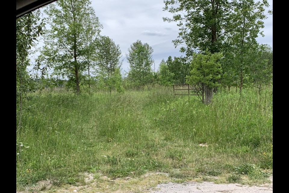 This empty parcel of land at 980 St. Vincent St. is being proposed for redevelopment into a 32-lot estate-style subdivision.