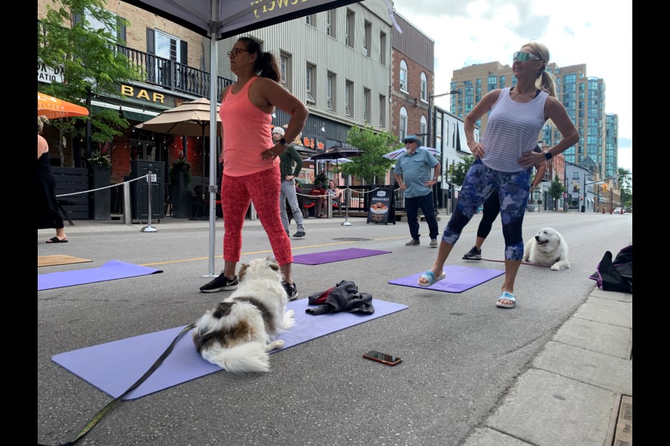 A small group gathered outside Flying Monkey Craft Brewery on Dunlop Street East recently to participate in Pets & Pilates.