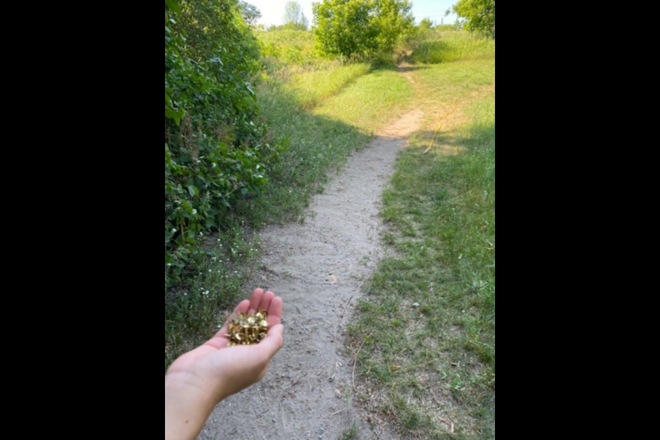 A Barrie woman and her daughter found nearly 100 thumb tacks that had been strewn along a walking path on Sunday morning while walking their dog at Lackie's Bush Trail.