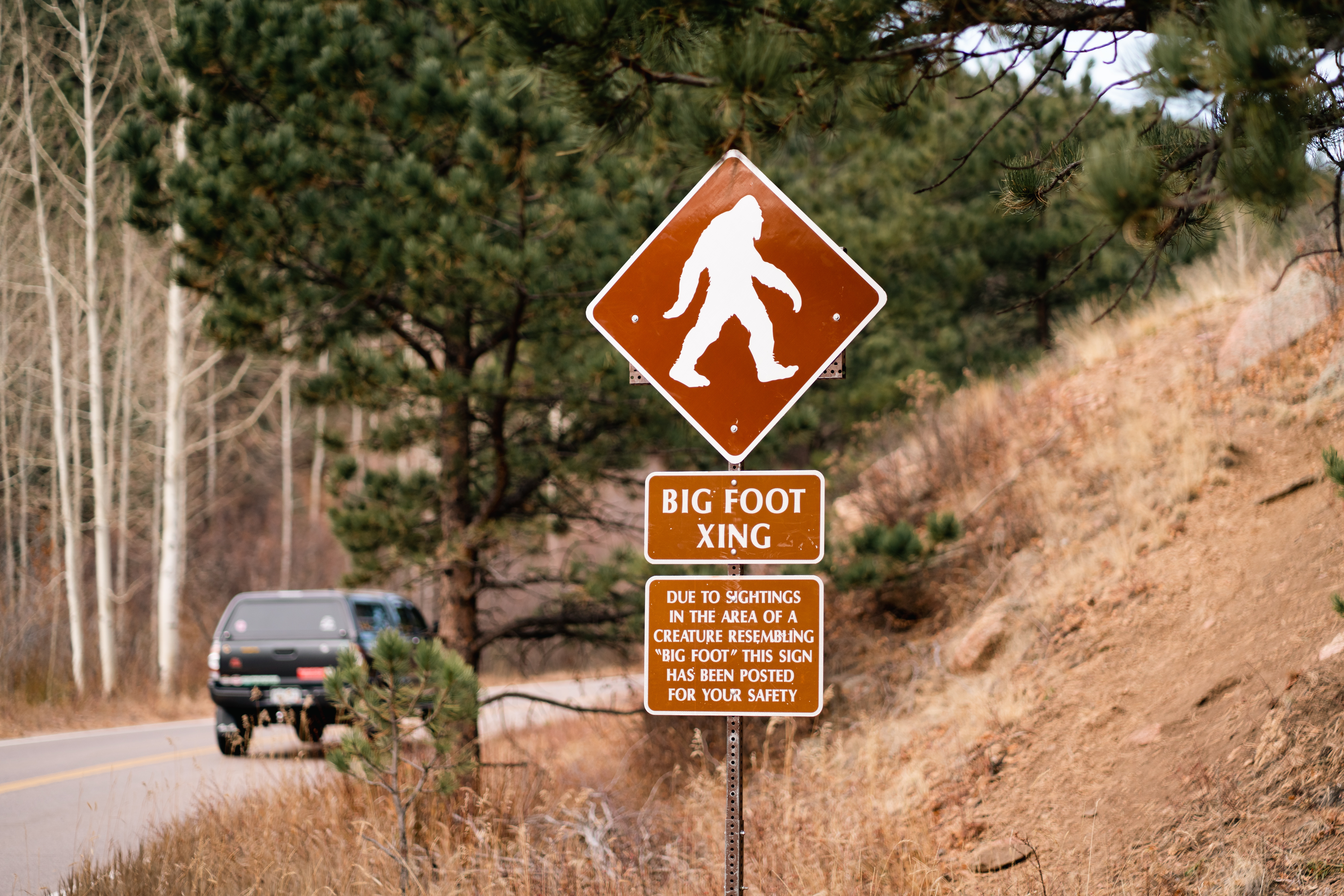 Bigfoot sighting reported in California