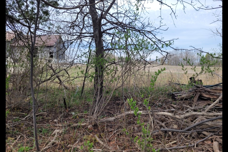 The area near Georgian Drive and Penetanguishene Road, just outside the Barrie city limits, where human remains were found on Wednesday, April 19.