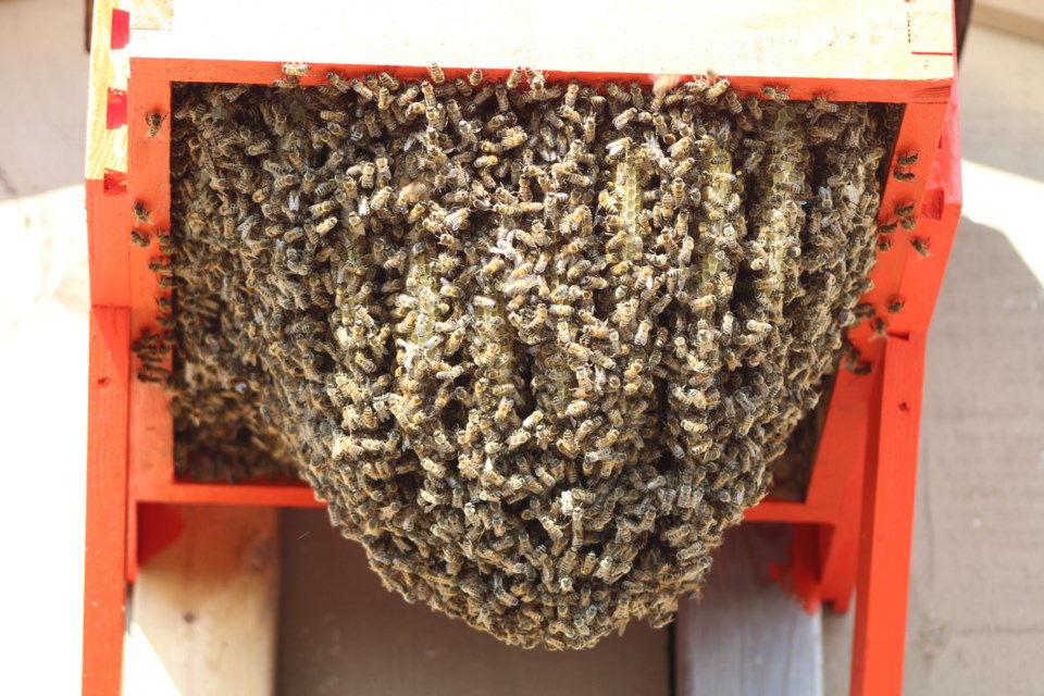 2019-08-07 Bee funding RB 8
