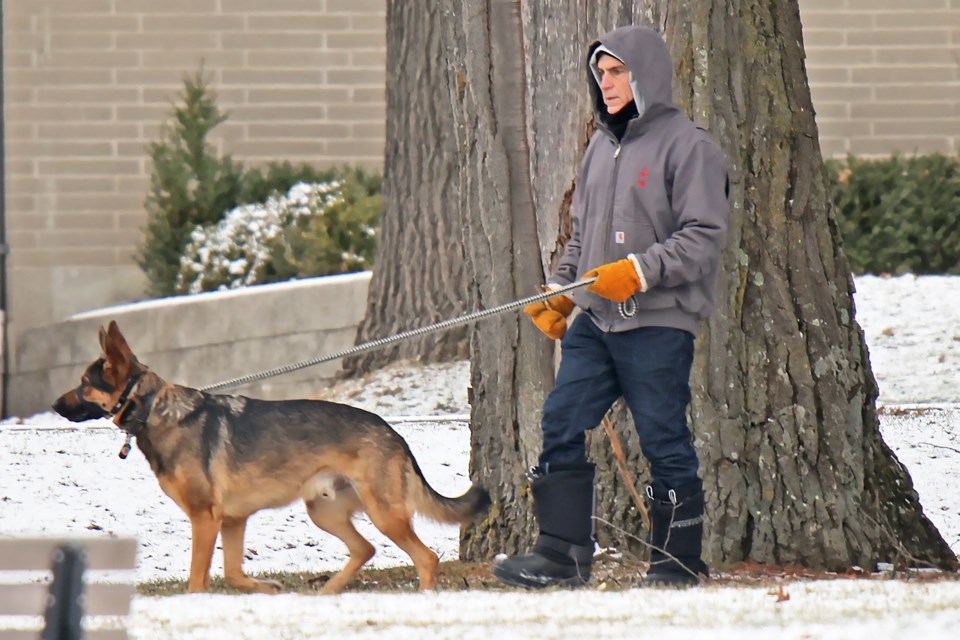 A dog-walker in the area of Sunnidale Park on Friday.