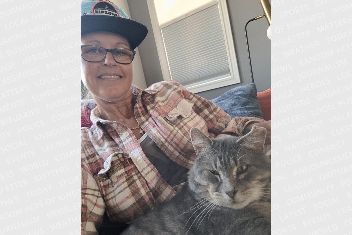 Cool cat goes from Frankenstein to cover model Barrie News