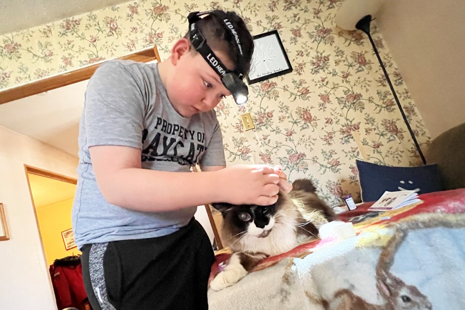 Taylor Green, 11, tests the blood-sugar levels of his diabetic cat, Demon.