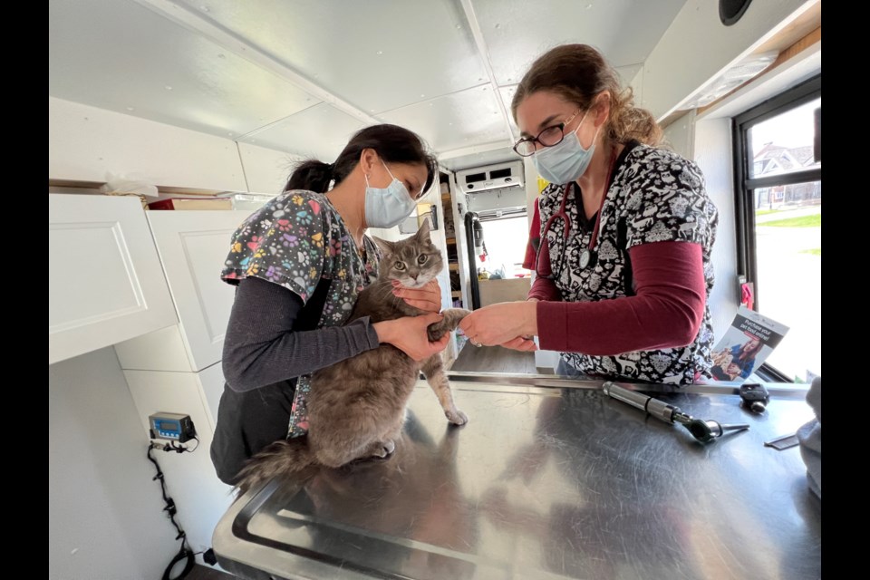 Dr. Felicia Uriarte and assistant Tammy Kidd, of McLean Housecall Veterinary Services, give Fred a once-over inside the mobile clinic while he looks around trying to figure out where he is.